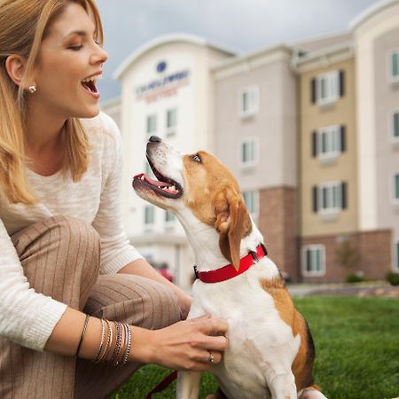 Sonesta Simply Suites Dallas Richardson Zewnętrze zdjęcie