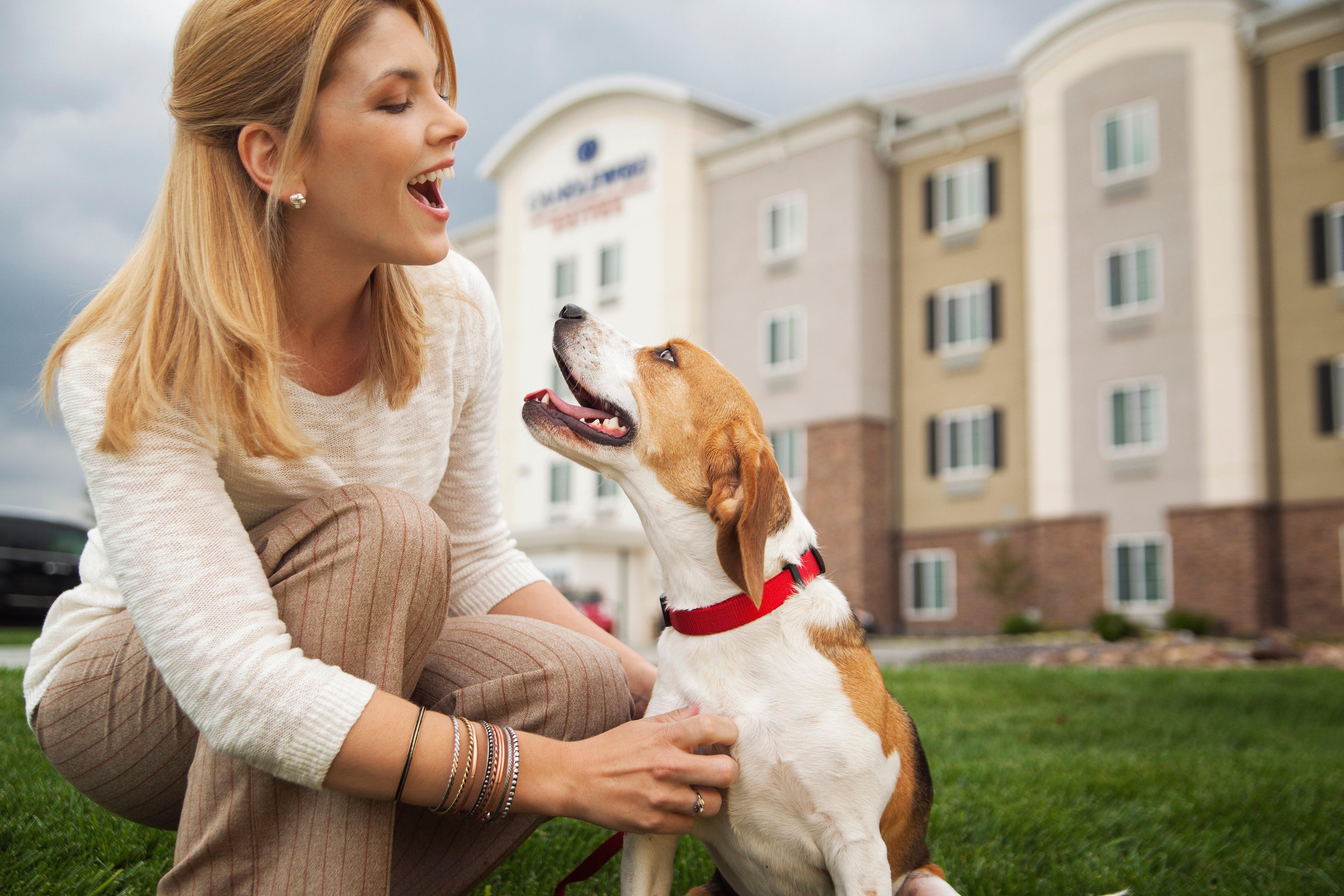 Sonesta Simply Suites Dallas Richardson Zewnętrze zdjęcie